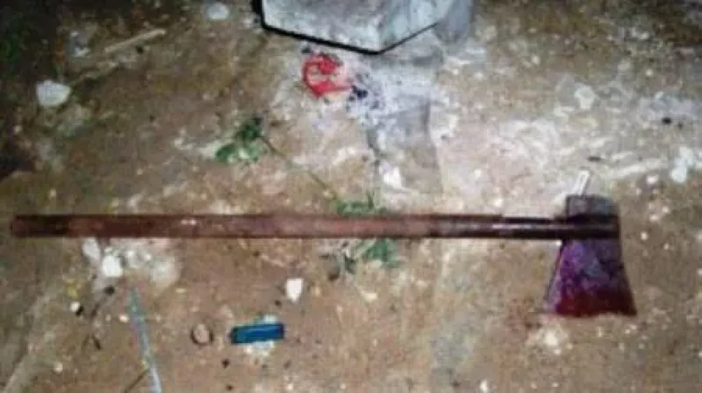 جريمة وحشية.. يقتل والده وزوجة أبيه بفأس حاد ويدفنهما في حظيرة الماشية